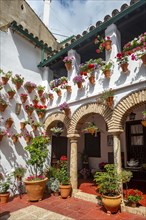 Patio decorated with flowers