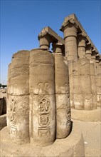 Columns with bass relief and hieroglyphs