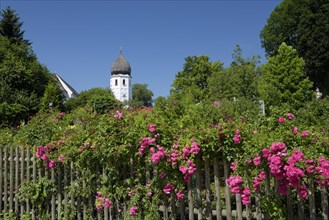 Monastery garden with blooming flowers and the campanile