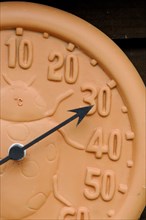 Close-up of garden wall thermometer