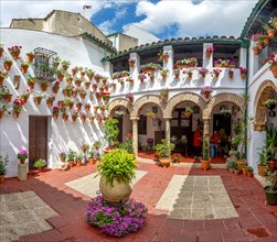 Patio decorated with flowers