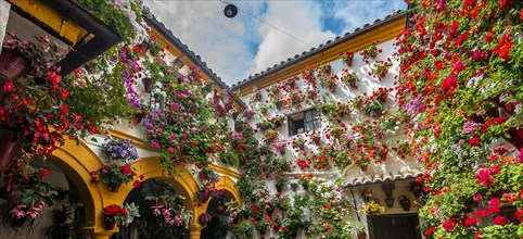 Patio decorated with flowers