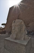 Head of the colossal figure Ramses II
