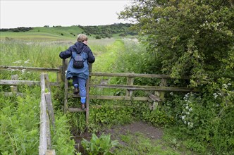 Walker traversing wooden ladder stile on footpath