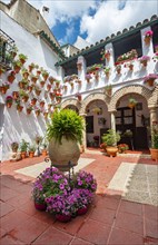 Patio decorated with flowers