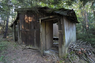 Dilapidated peat hut