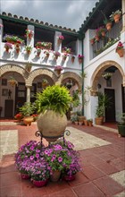 Patio decorated with flowers