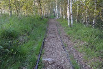 Old tracks of the moor railway