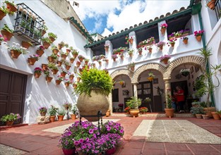 Patio decorated with flowers