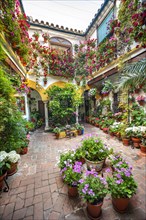 Patio decorated with flowers