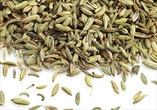 Seeds of fennel