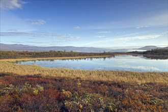 Lake in the marsh area of Fokstumyra Nature Reserve in autumn