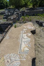 Mosaic in the Archaeological Park of Dion