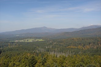 View over the Bavarian Forest National Park