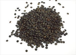 French lentils as green puy lentils