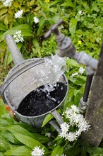 Filling metal watering can from garden tap