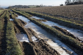 Puddles in deep tractor ruts frozen on cold bright winter morning