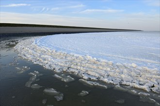 Iced Wadden Sea