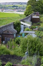 View of town allotments