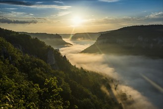 View from Eichfelsen to Werenwag Castle with morning fog