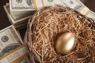 Golden egg in nest with thousands of dollars on table