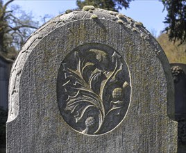 Relief of stillized flowers on a Jewish gravestone