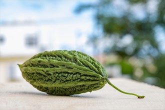 Closeup of fresh organic green bitter gourd