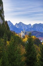 Neuschwanstein Castle in autumn