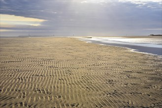 Sandy beach beach with ripple pattern