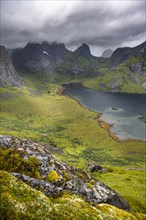 Fjords and mountains