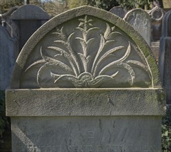 Lily relief on a Jewish gravestone