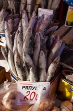 Deep frozen fish at the Fish and meat market