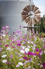 Antique farm windmill and silo near a flower field in a beautiful country outdoor setting