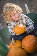 Adorable little boy sitting in wheelbarrow and holding his pumpkin in a rustic ranch setting at the pumpkin patch