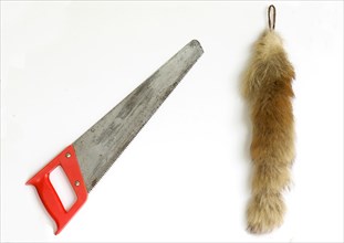 Foxtail saw and a real foxtail from the 1970s