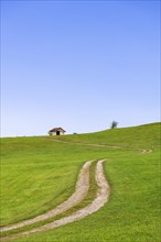 Landscape near Rieden am Forggensee