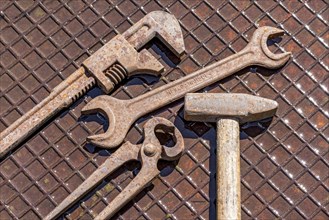 Old tool with Englishman