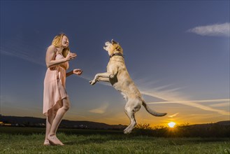 Young woman playing with dog