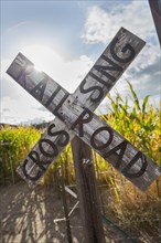 Antique country rail road crossing sign near a corn field in a rustic outdoor setting