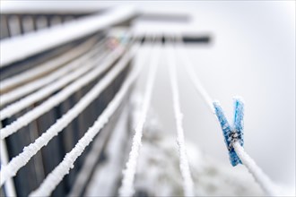 Iced clothespin on rope