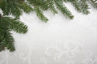 White silk christmas background framed with pine branches