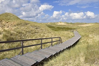 Boardwalks in the dune area
