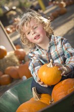 Adorable little boy sitting in wheelbarrow and holding his pumpkin in a rustic ranch setting at the pumpkin patch