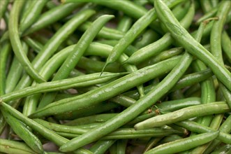 Fresh green beans background moist with water