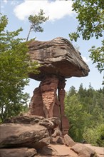Mushroom rock