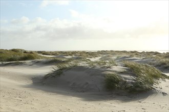 Sand dunes at Kniepsand