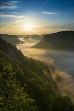 View from Eichfelsen to Werenwag Castle with morning fog