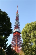 Tokyo Tower with vegetation in front of blue sky