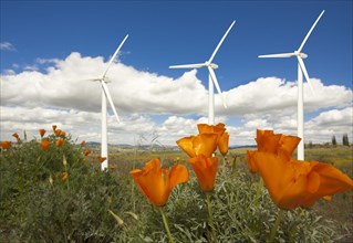 Wind turbines against dramatic sky