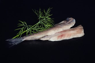 Freshly fermented fillet of Atlantic herring